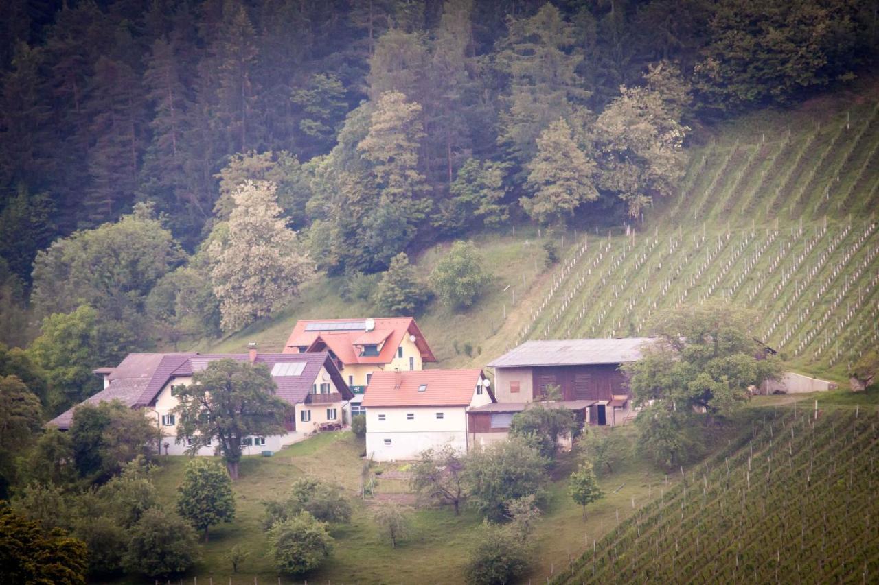 Appartement Weinbau Pronegg Vlg. Krainz à Leutschach Extérieur photo